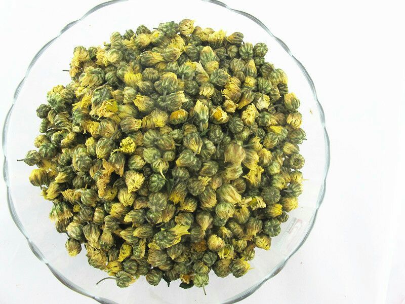 杭州白菊