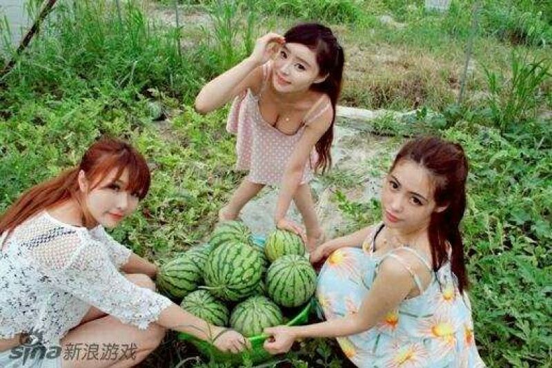 西瓜种子97%以上