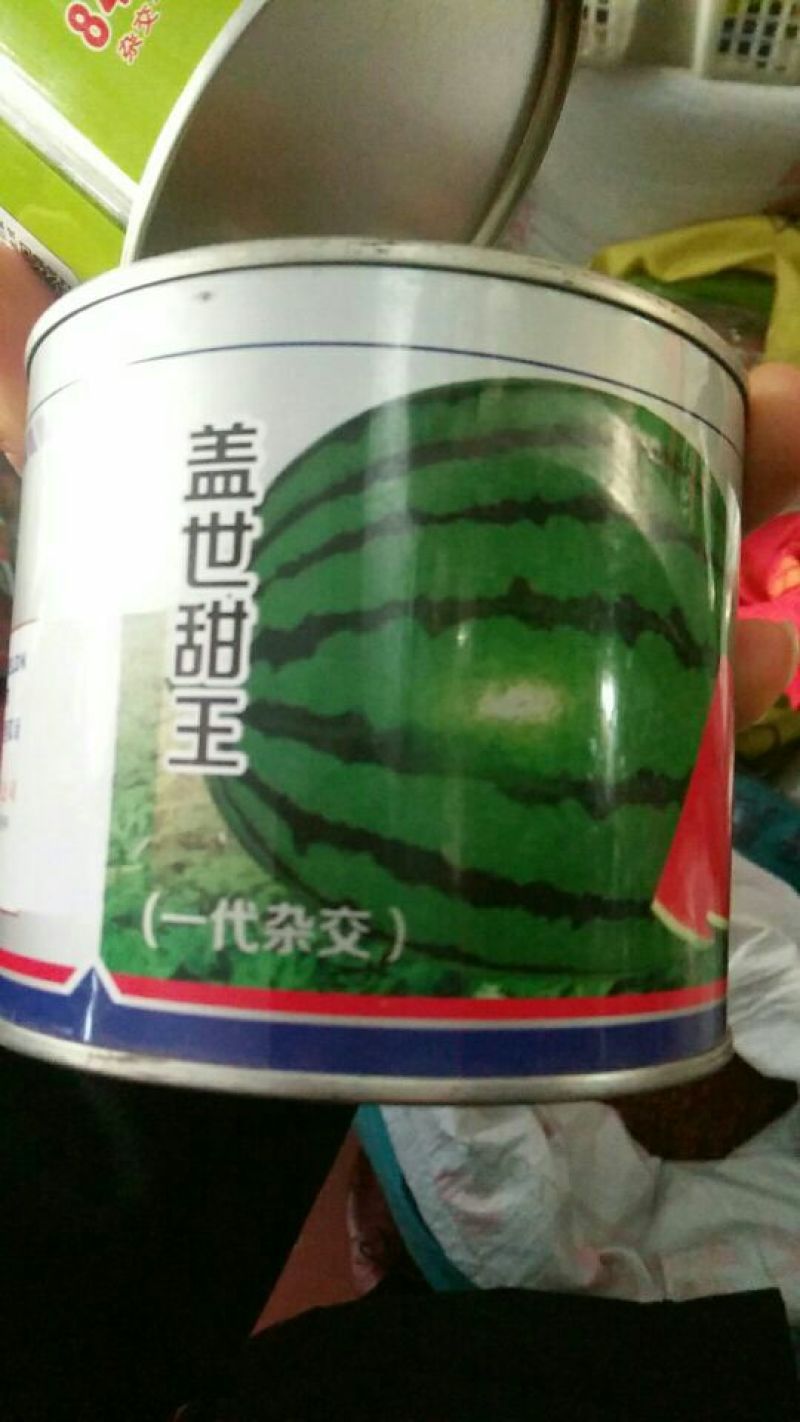 西瓜种子97%以上