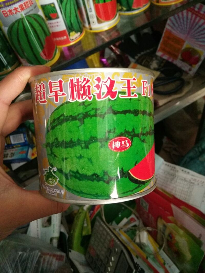 西瓜种子97%以上