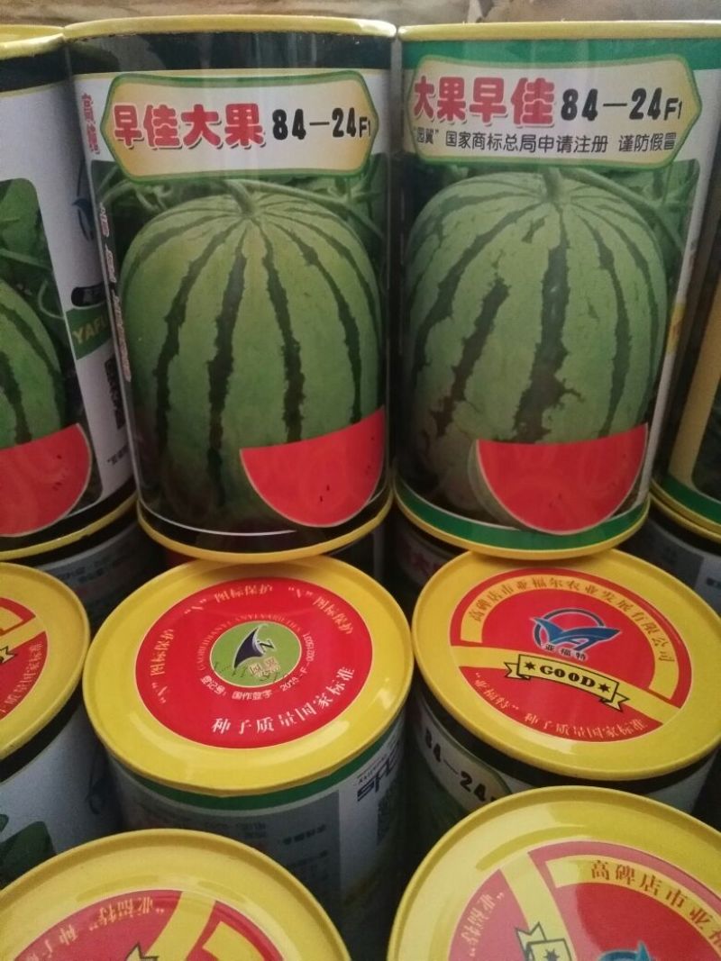 西瓜种子97%以上