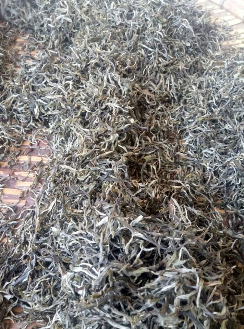 百年大树茶一级
