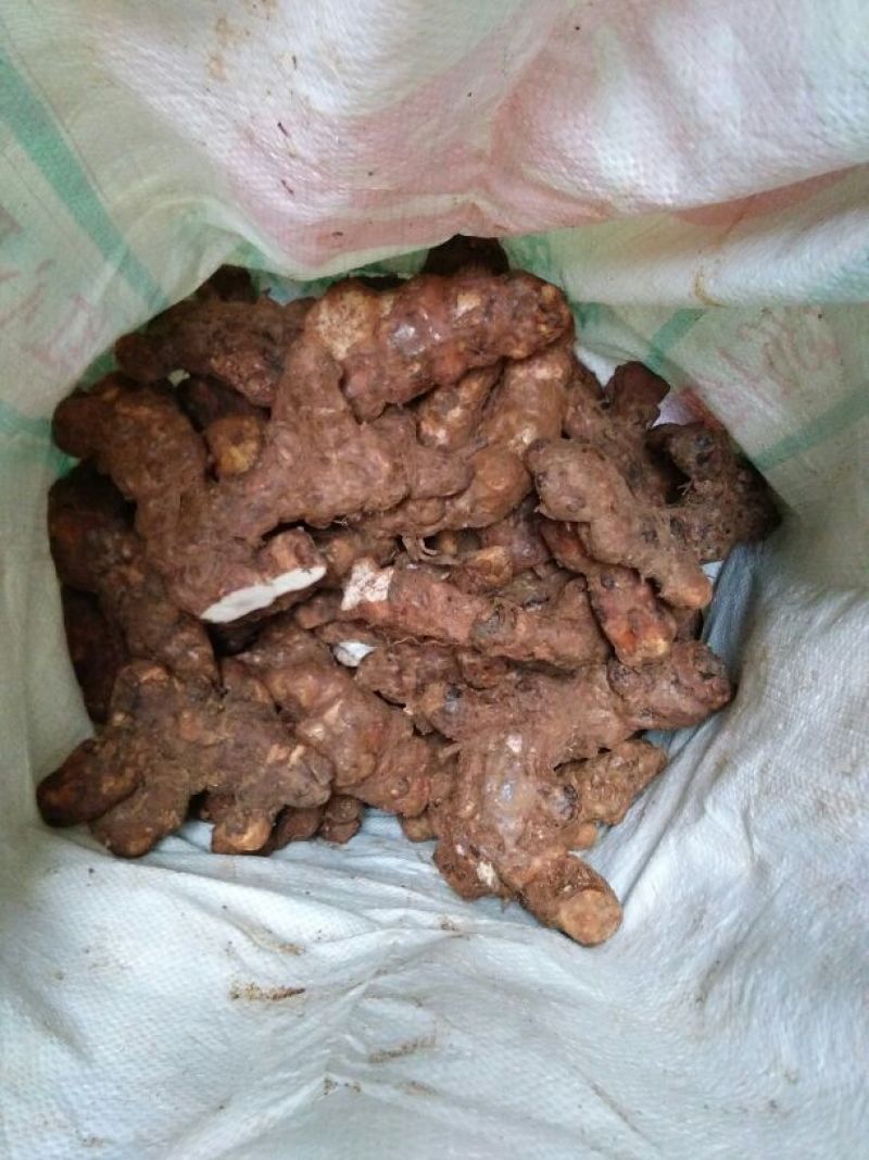 土茯苓本地中土，一两至三两。粉质白肉