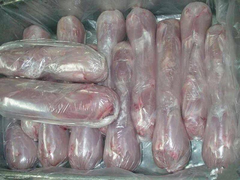 肉兔3~5