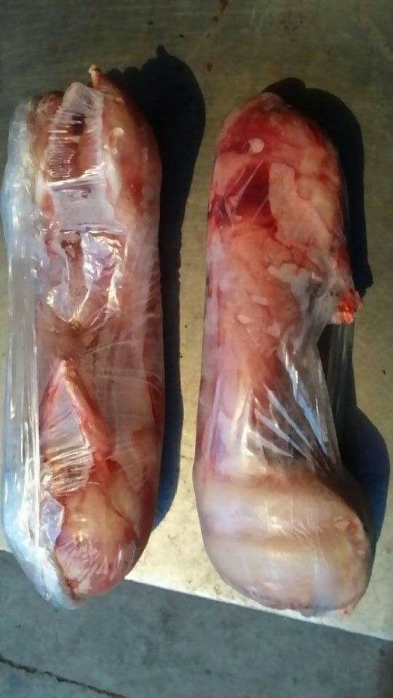 肉兔3~5