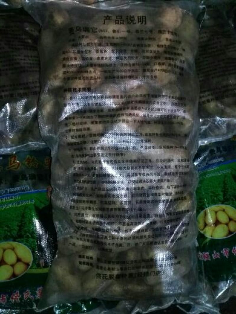 内蒙产806土豆种子，按需分拣，协助找车基地直发