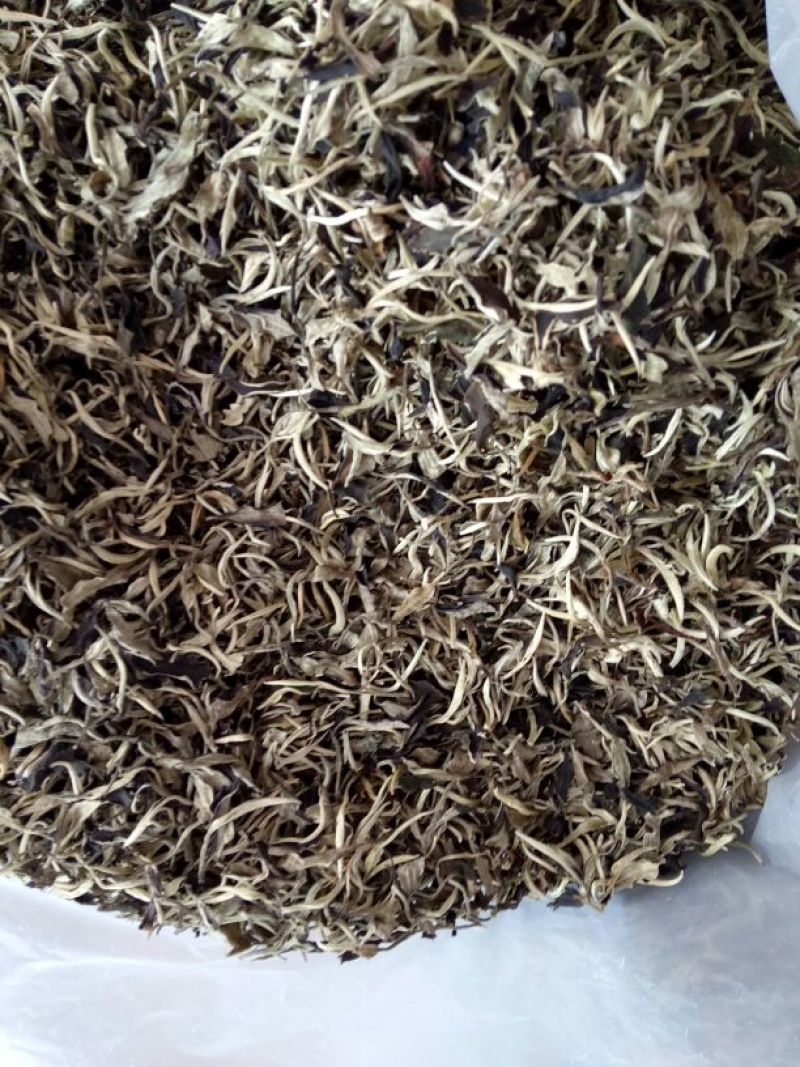 古树普洱茶一级