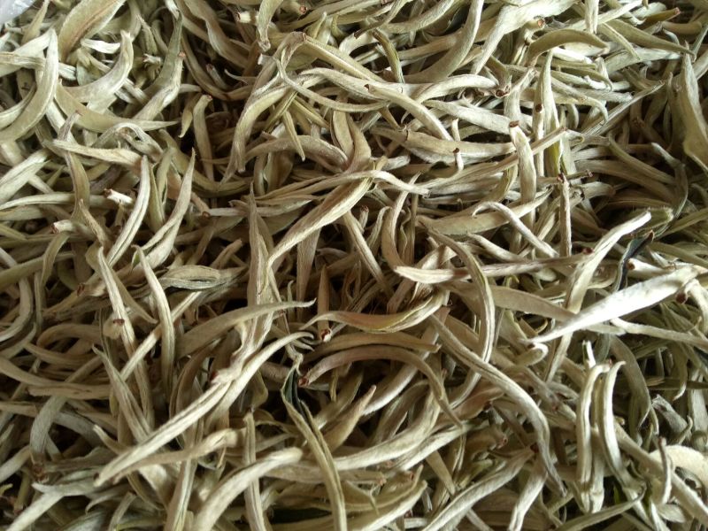 古树普洱茶一级
