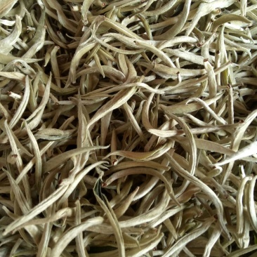 普洱茶