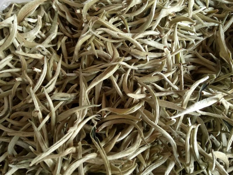 普洱茶