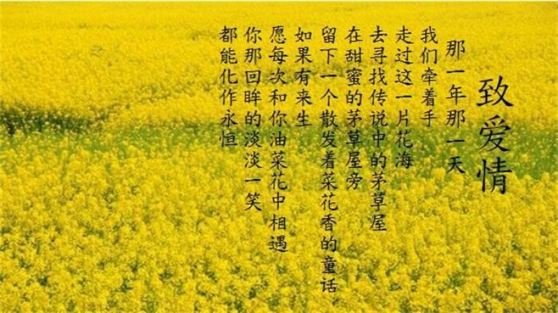 压榨菜籽油三级