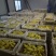 鹅苗250g以上