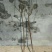 山东优质果苗红肉苹果苗119-0680cm以规格齐全