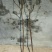 山东优质果苗红肉苹果苗119-0680cm以规格齐全