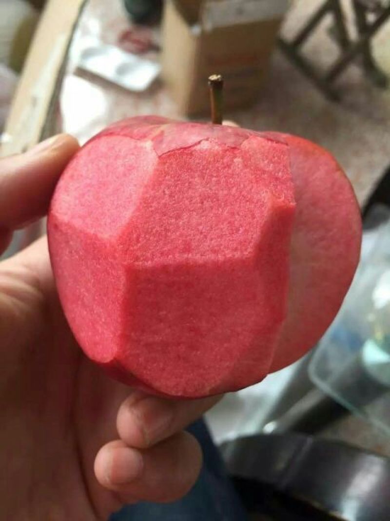 山东优质果苗红肉苹果苗119-0680cm以规格齐全