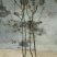 山东优质果苗红肉苹果苗119-0680cm以规格齐全