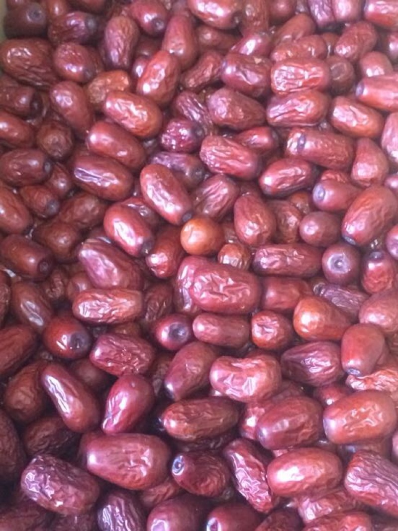 和田大枣新疆和田大枣骏枣