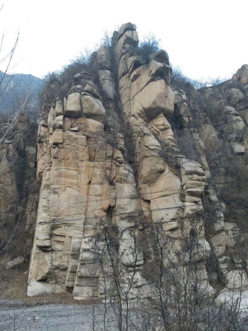 豆皮干