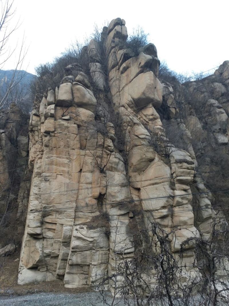豆皮干