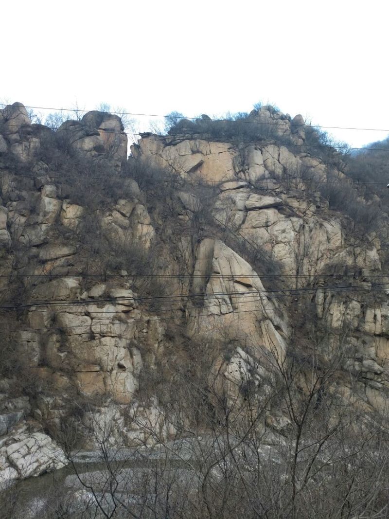 豆皮干
