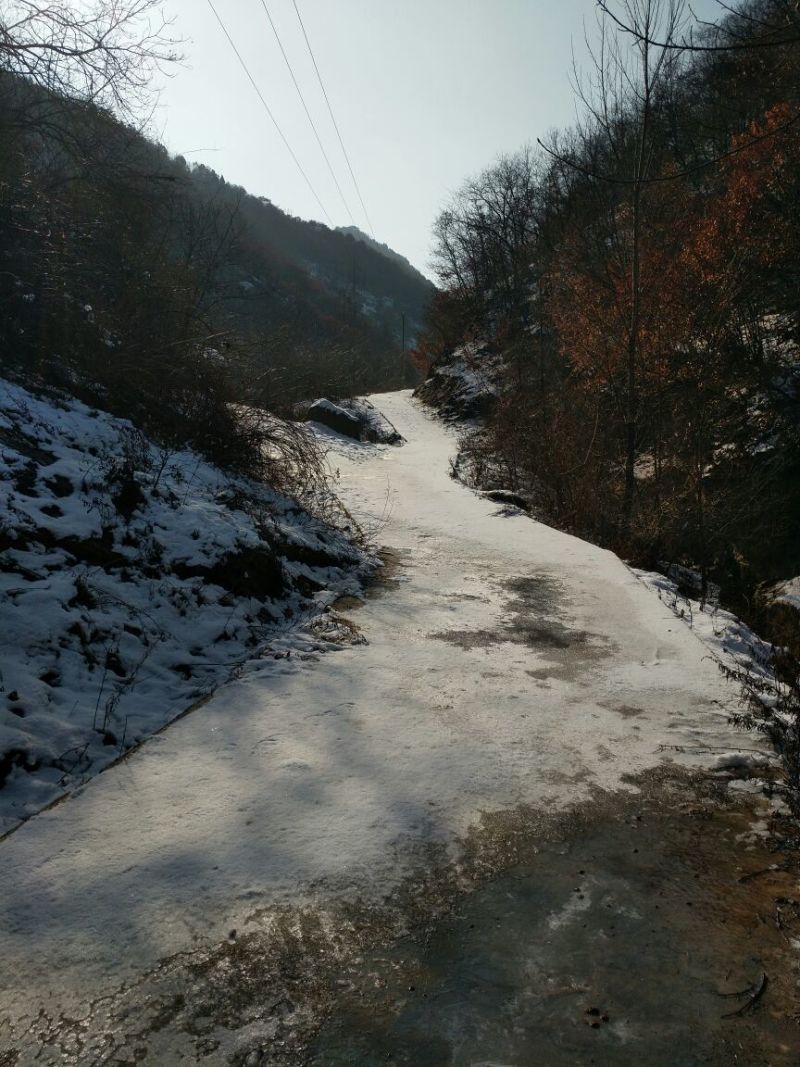 豆皮干