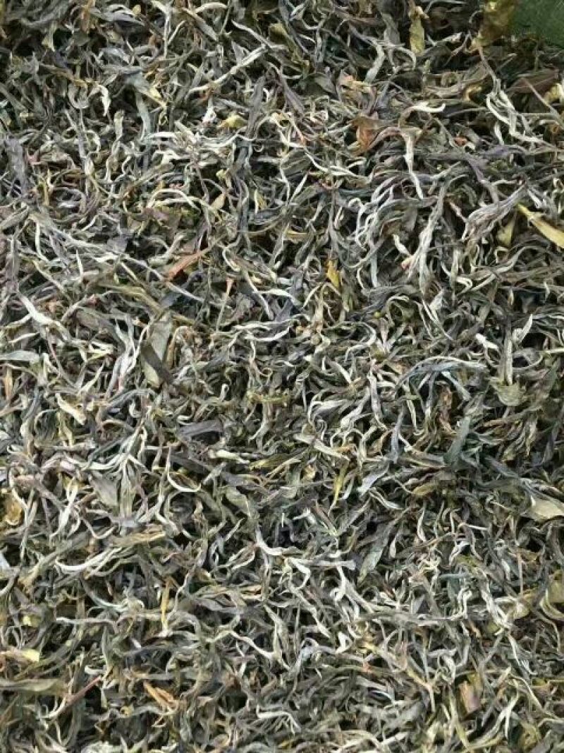 普洱茶