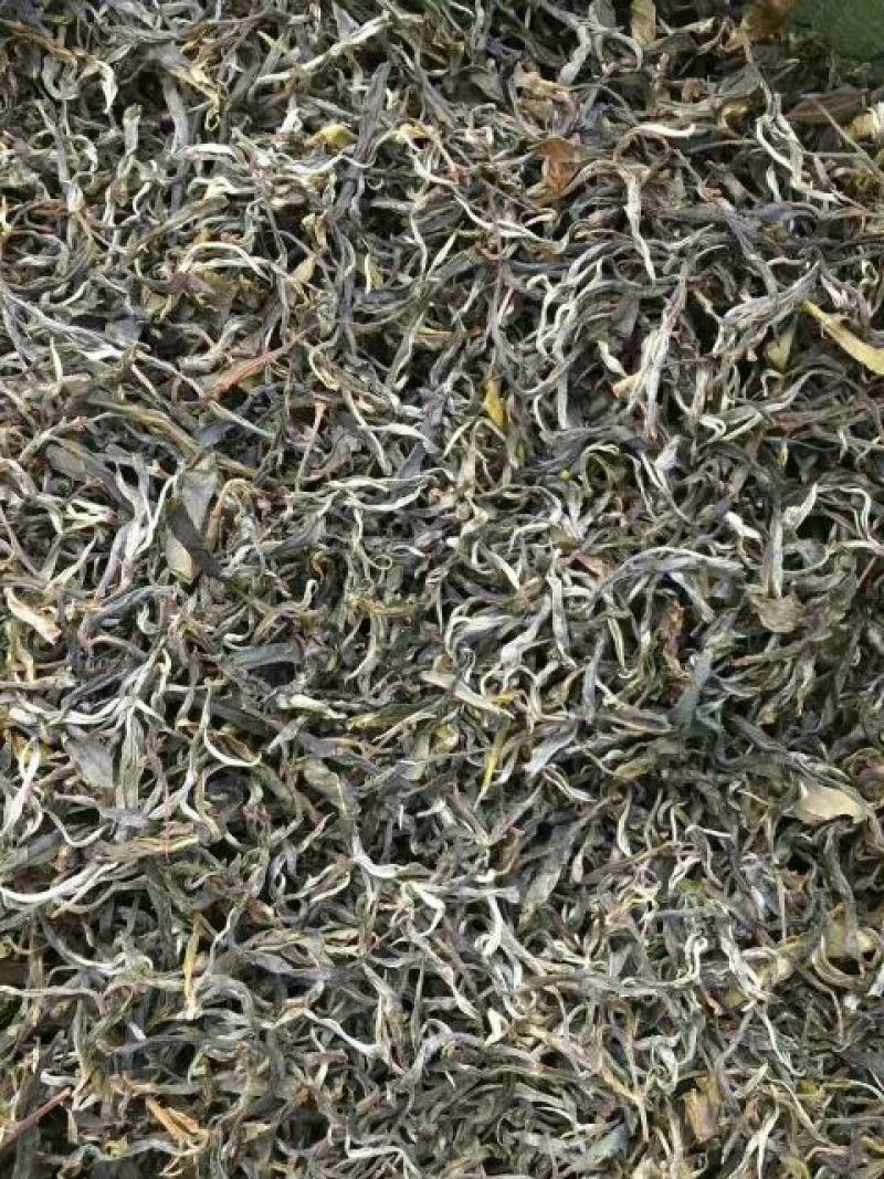 普洱茶