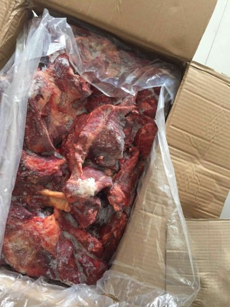 肉驴500斤以上