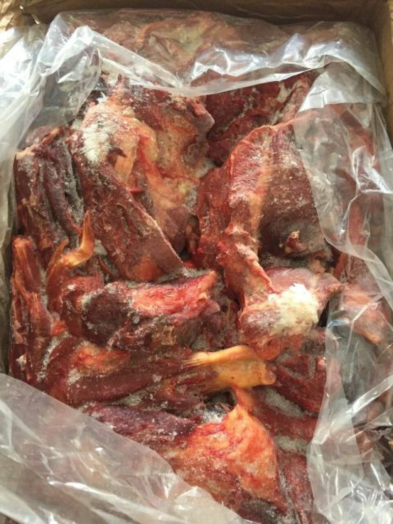 肉驴500斤以上