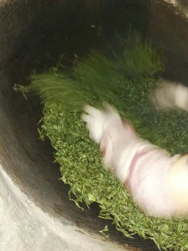 古树普洱茶二级