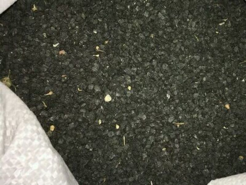 雪韭八号散装