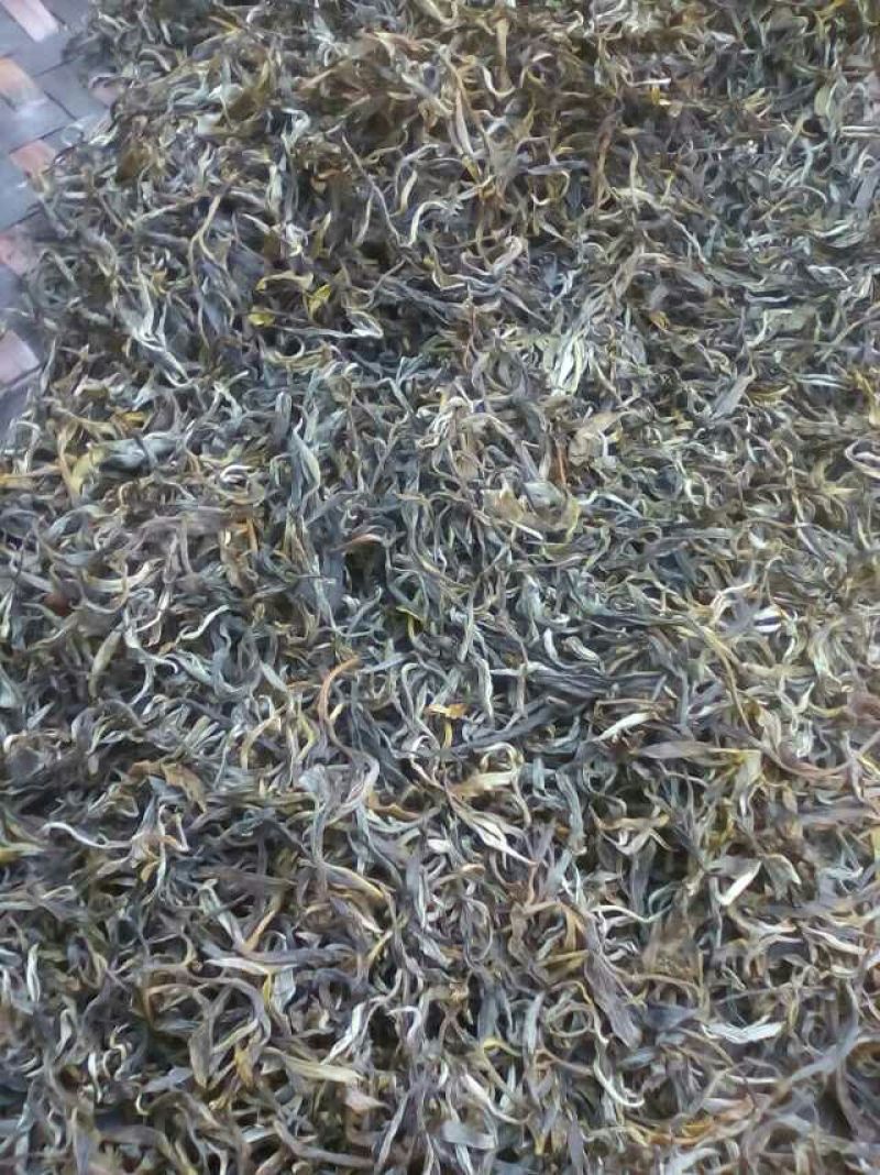 普洱茶