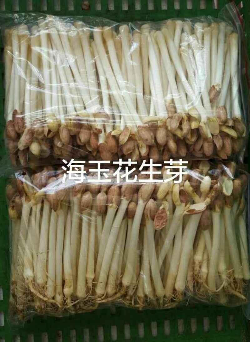 花生芽包装