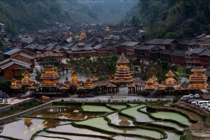 野鲤