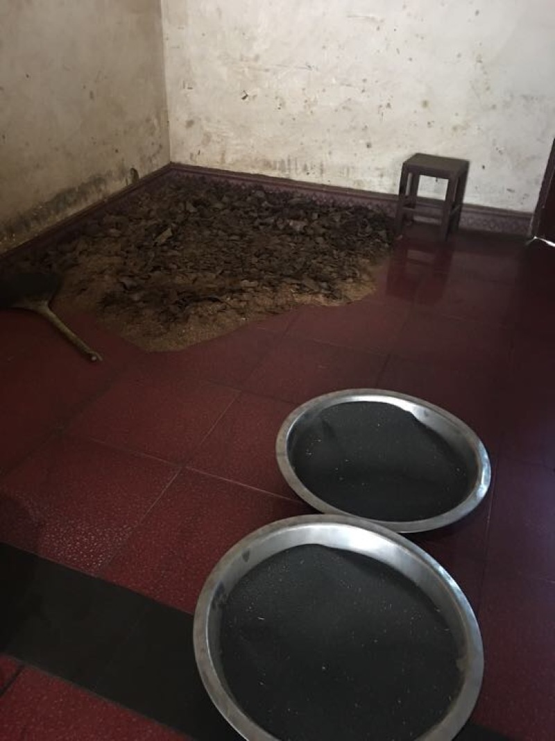 压榨菜籽油