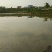 鲫鱼垂钓