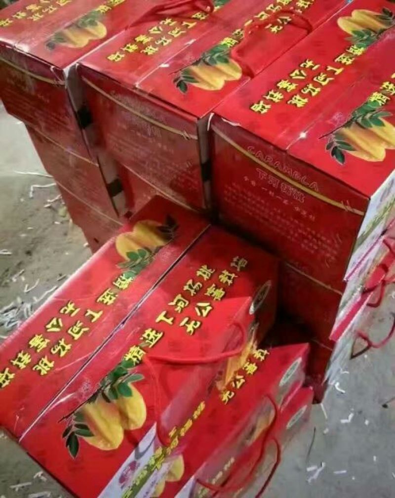 杨桃4~5两