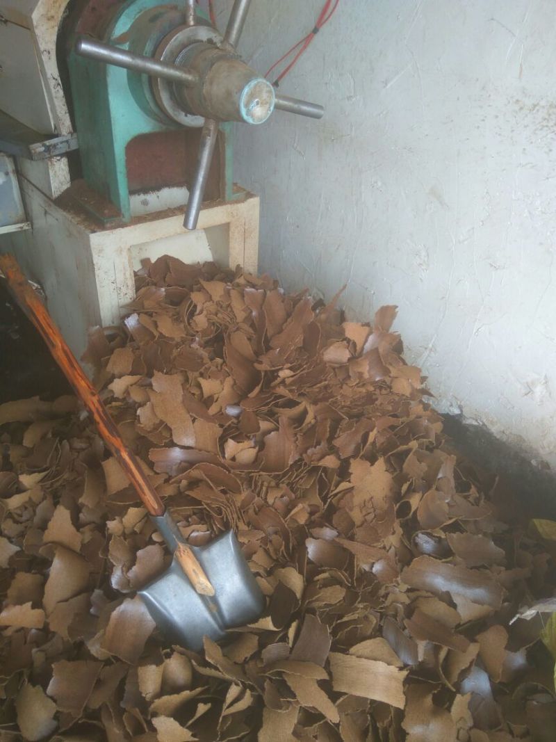 压榨菜籽油一级
