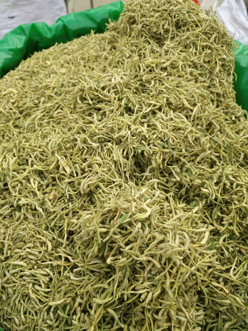 金银花颜色绿1公斤起批河南无硫***包邮