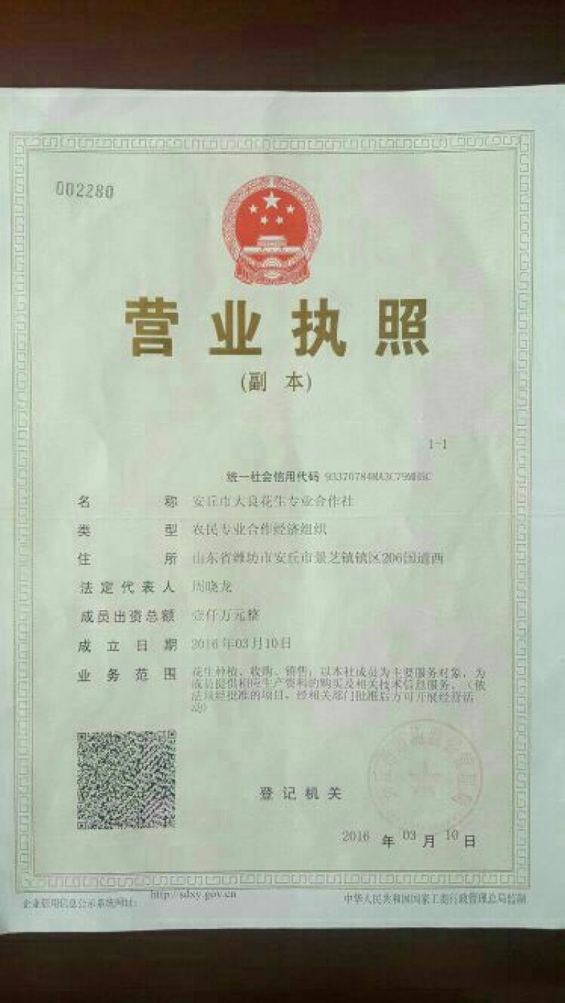 花生种子，花生芽菜种子