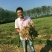 花生种子，花生芽菜种子