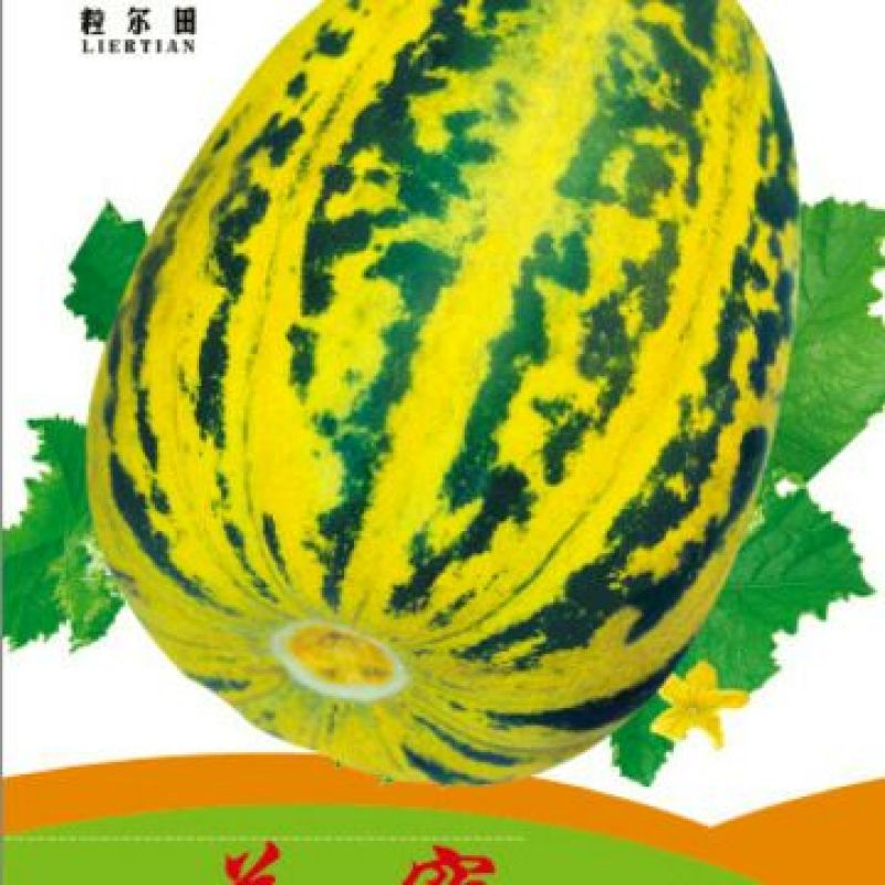 甜瓜种子