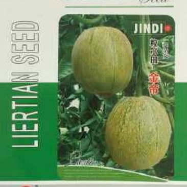 甜瓜种子