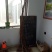 无花果树苗80~100cm