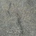金钟连翘3cm10~180cm