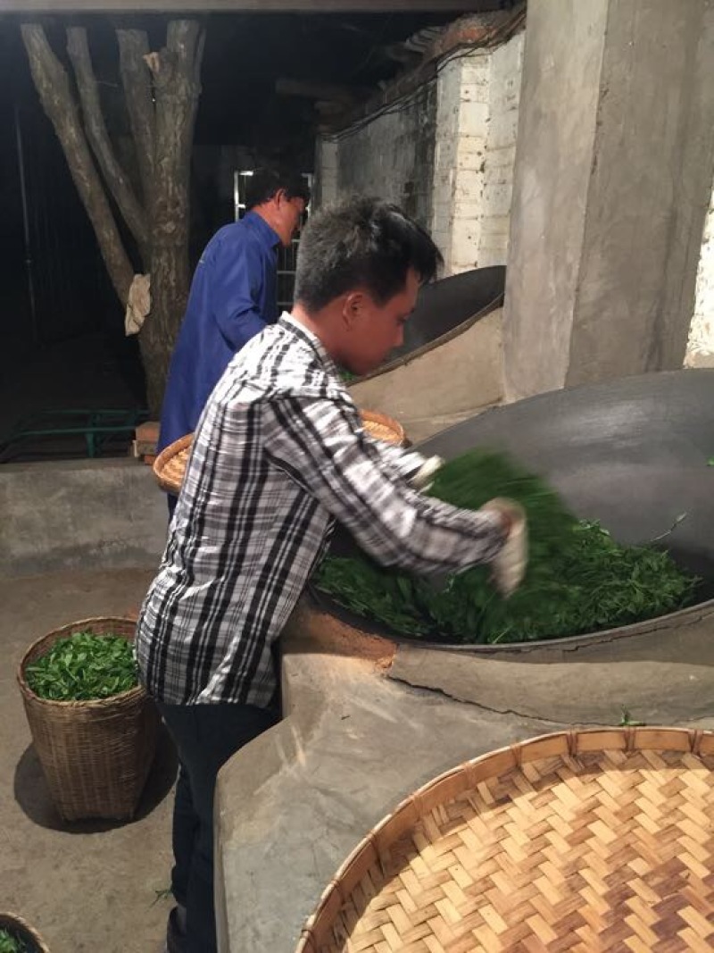 古树茶