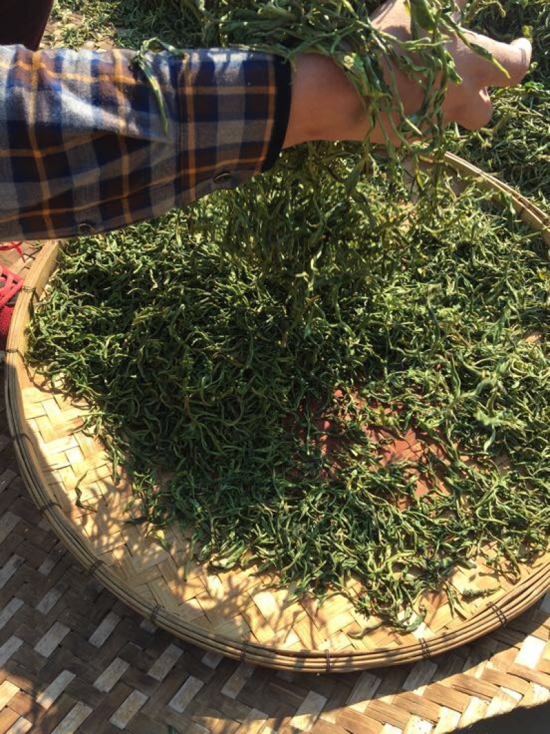 古树茶