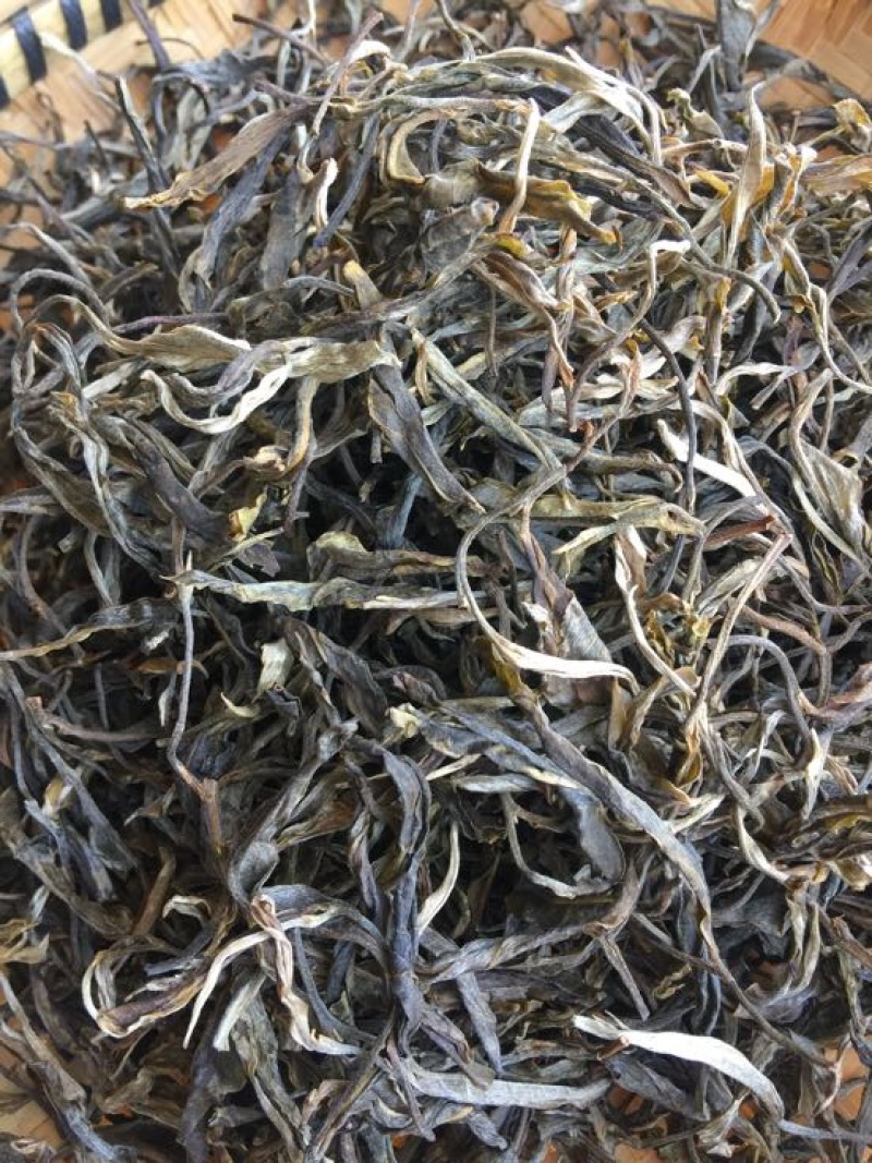 古树茶