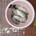 白鲫食用