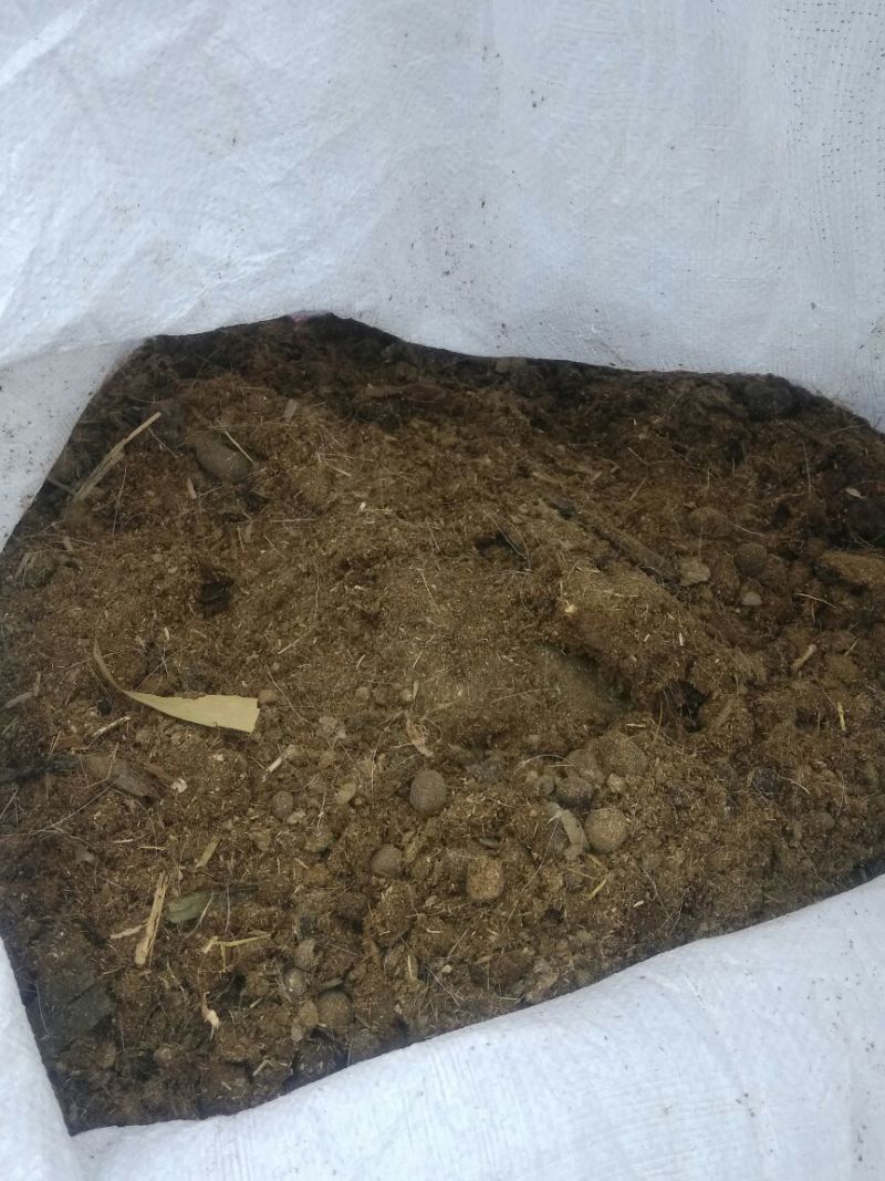 羊粪